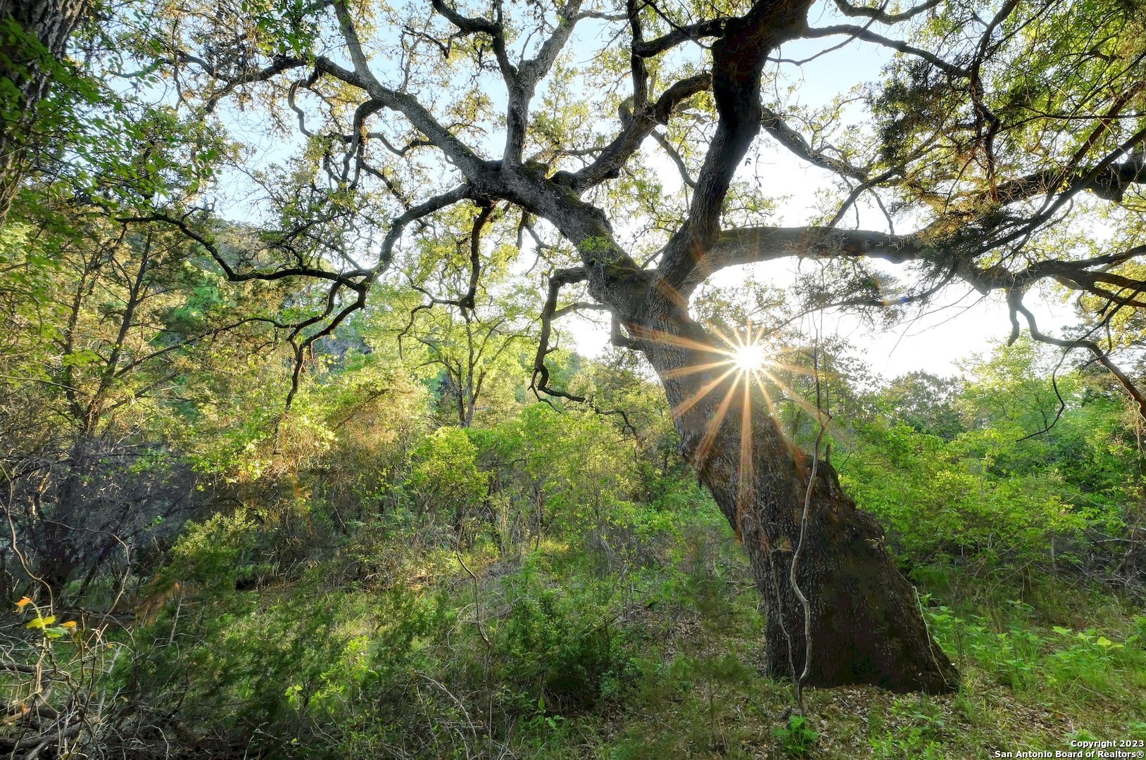 10700 Fm 306 New Braunfels TX 78132