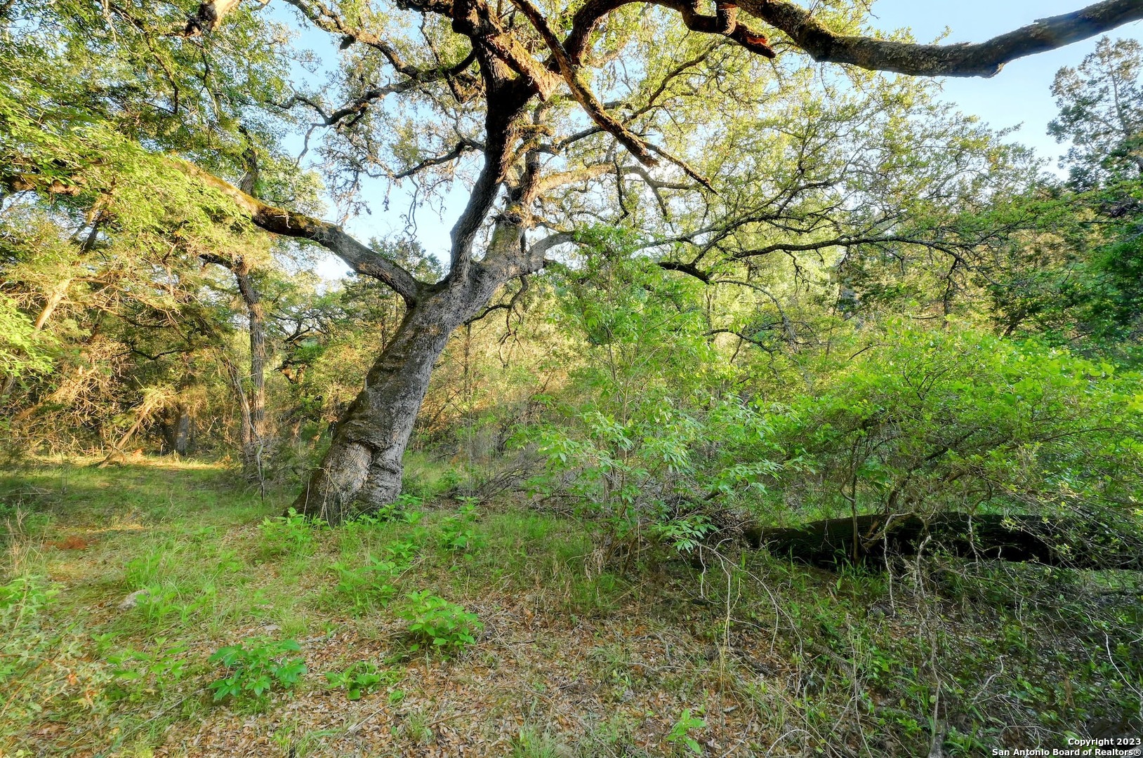 10700 Fm 306 New Braunfels TX 78132