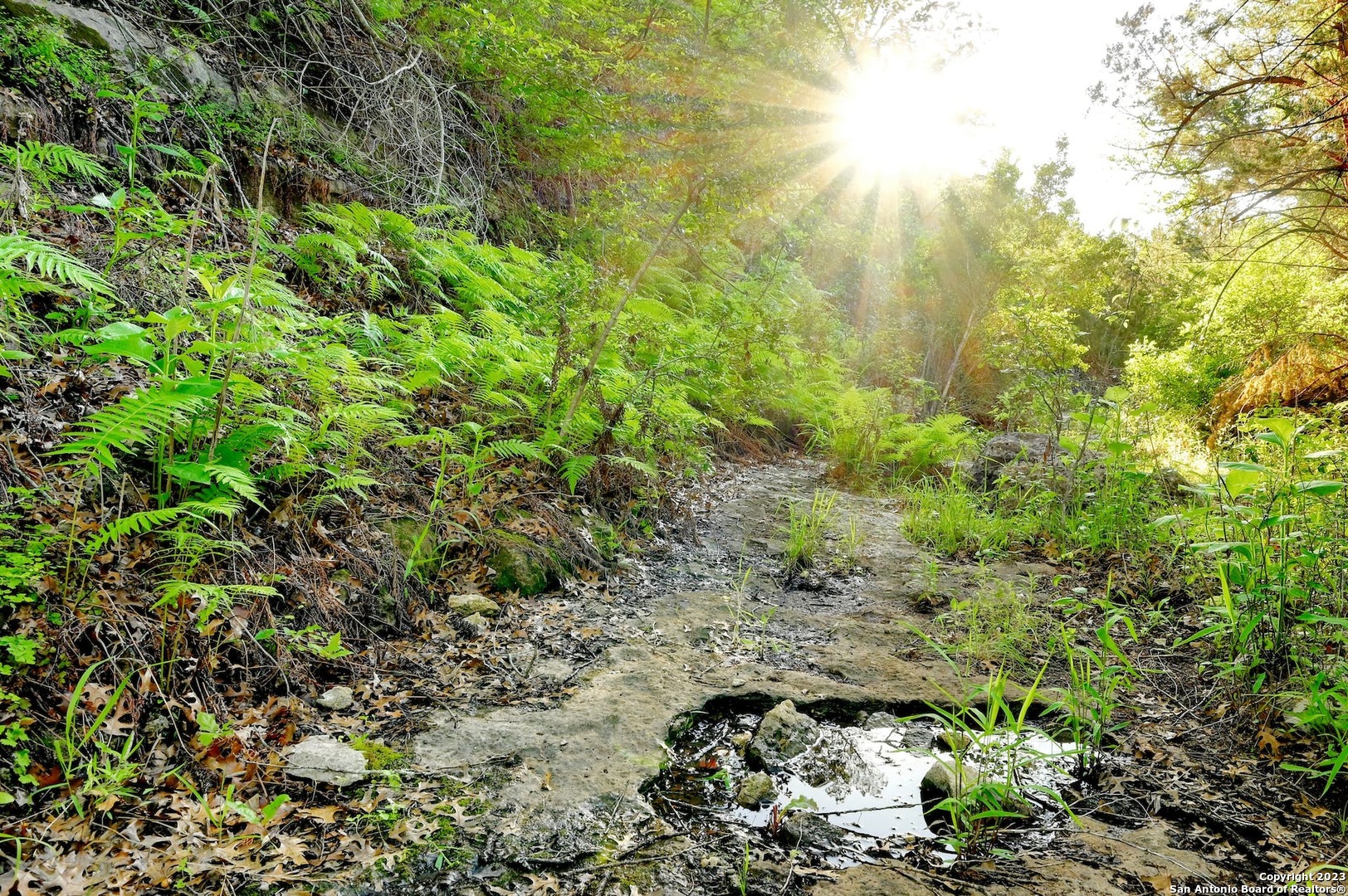 10700 Fm 306 New Braunfels TX 78132