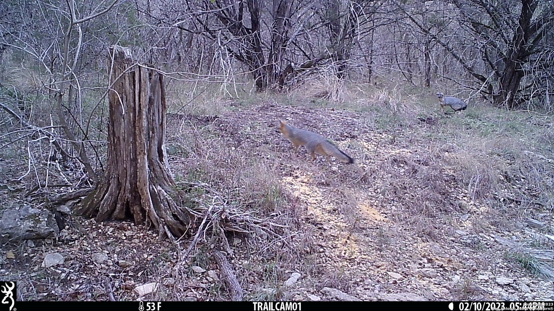 10700 Fm 306 New Braunfels TX 78132