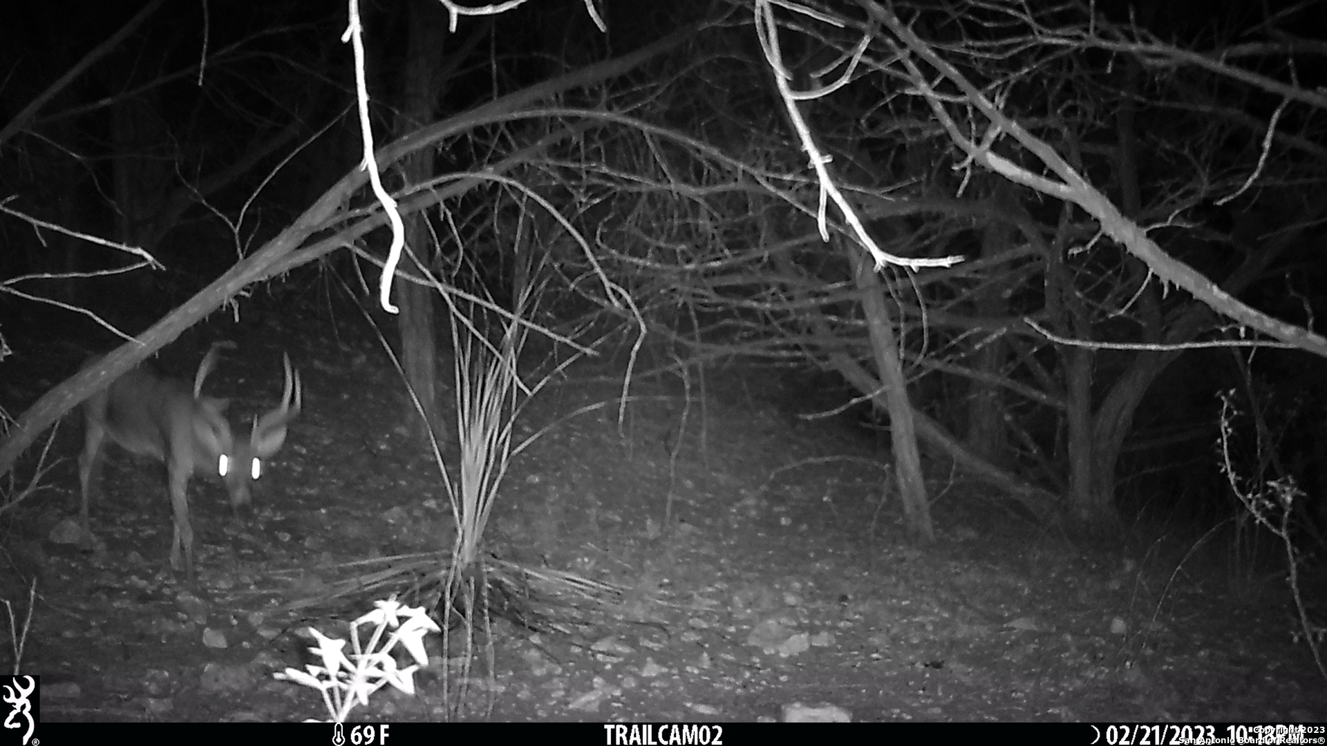 10700 Fm 306 New Braunfels TX 78132