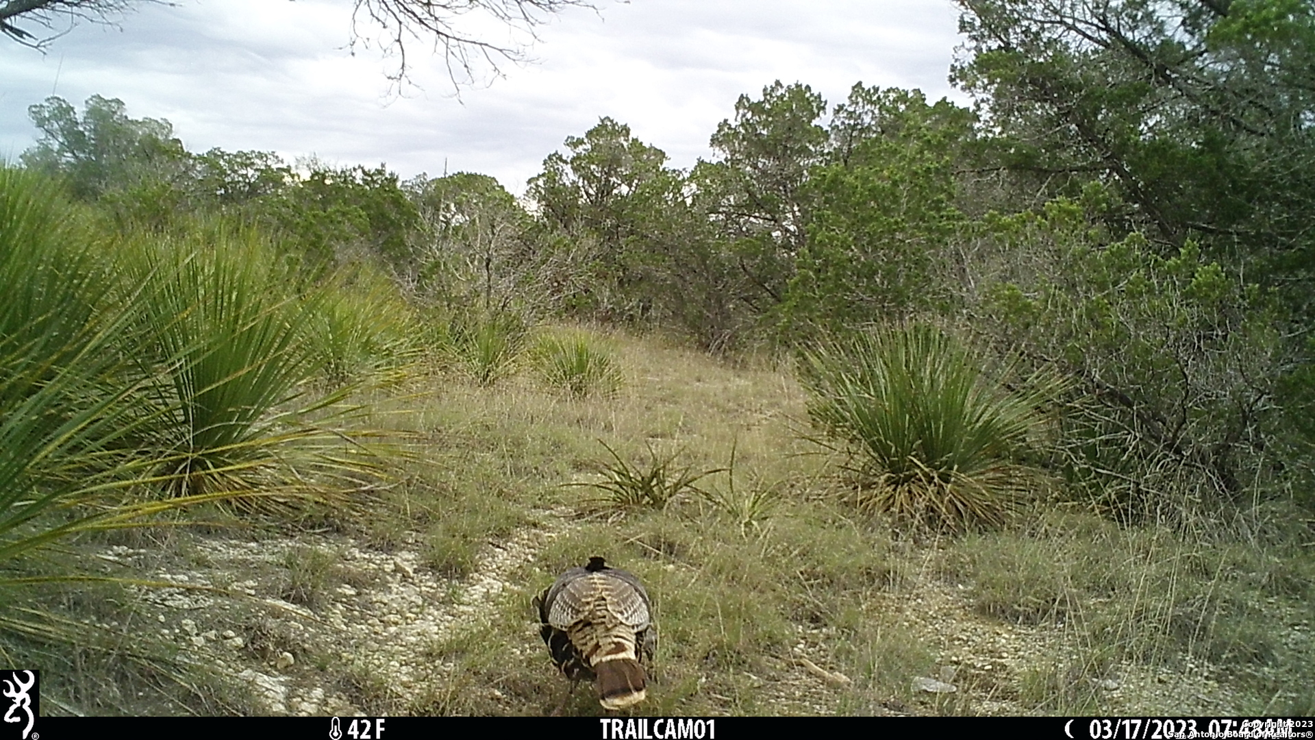 10700 Fm 306 New Braunfels TX 78132