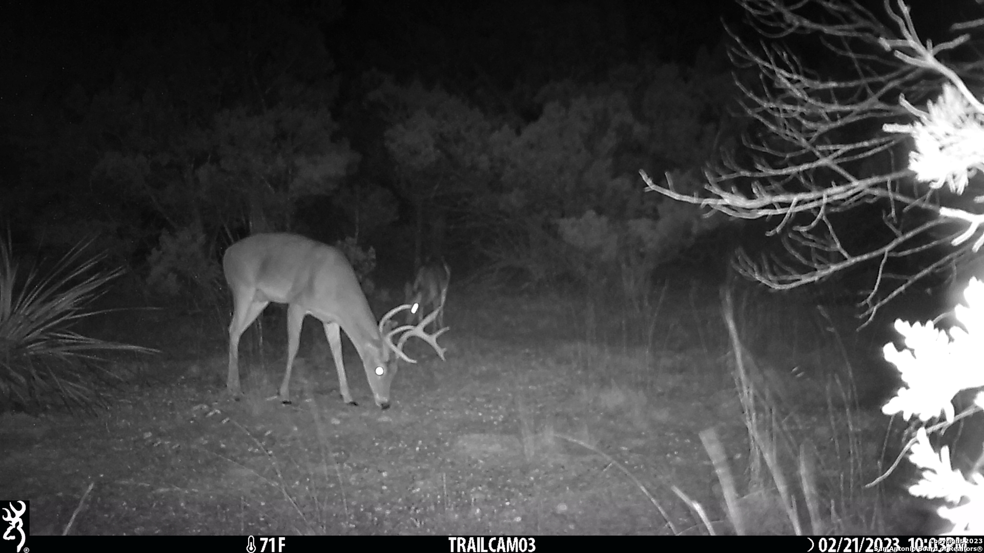 10700 Fm 306 New Braunfels TX 78132