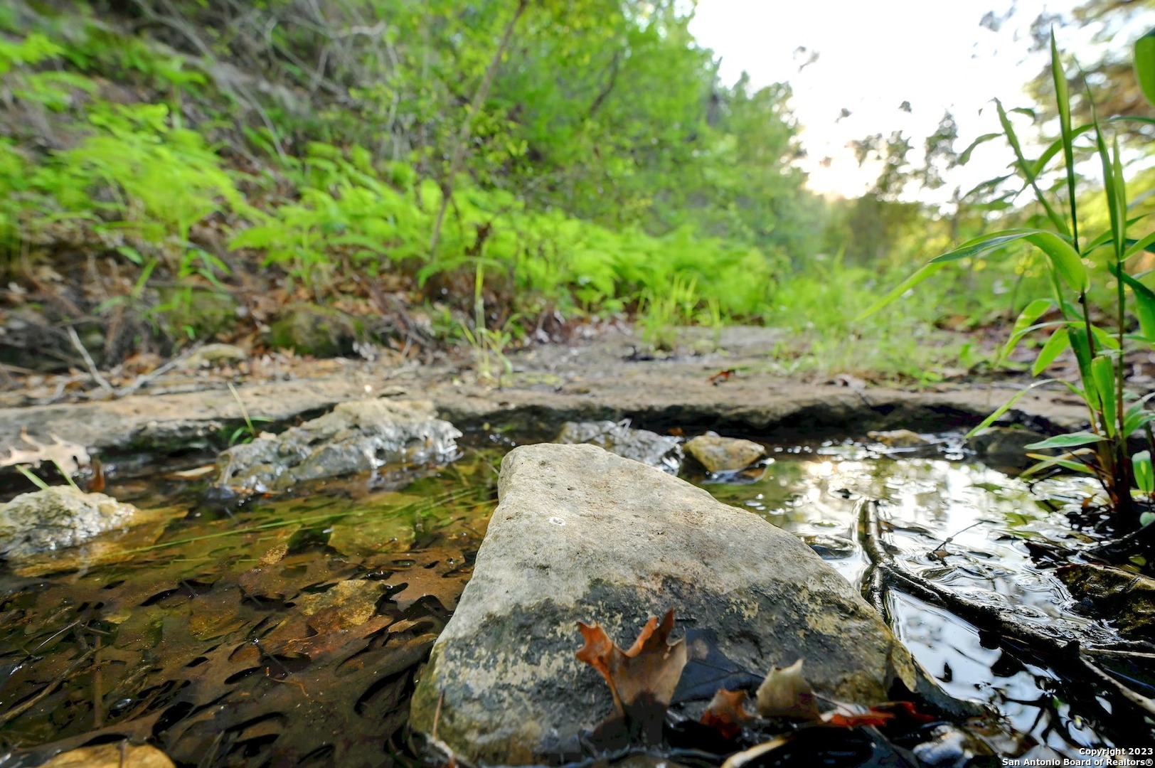 10700 Fm 306 New Braunfels TX 78132