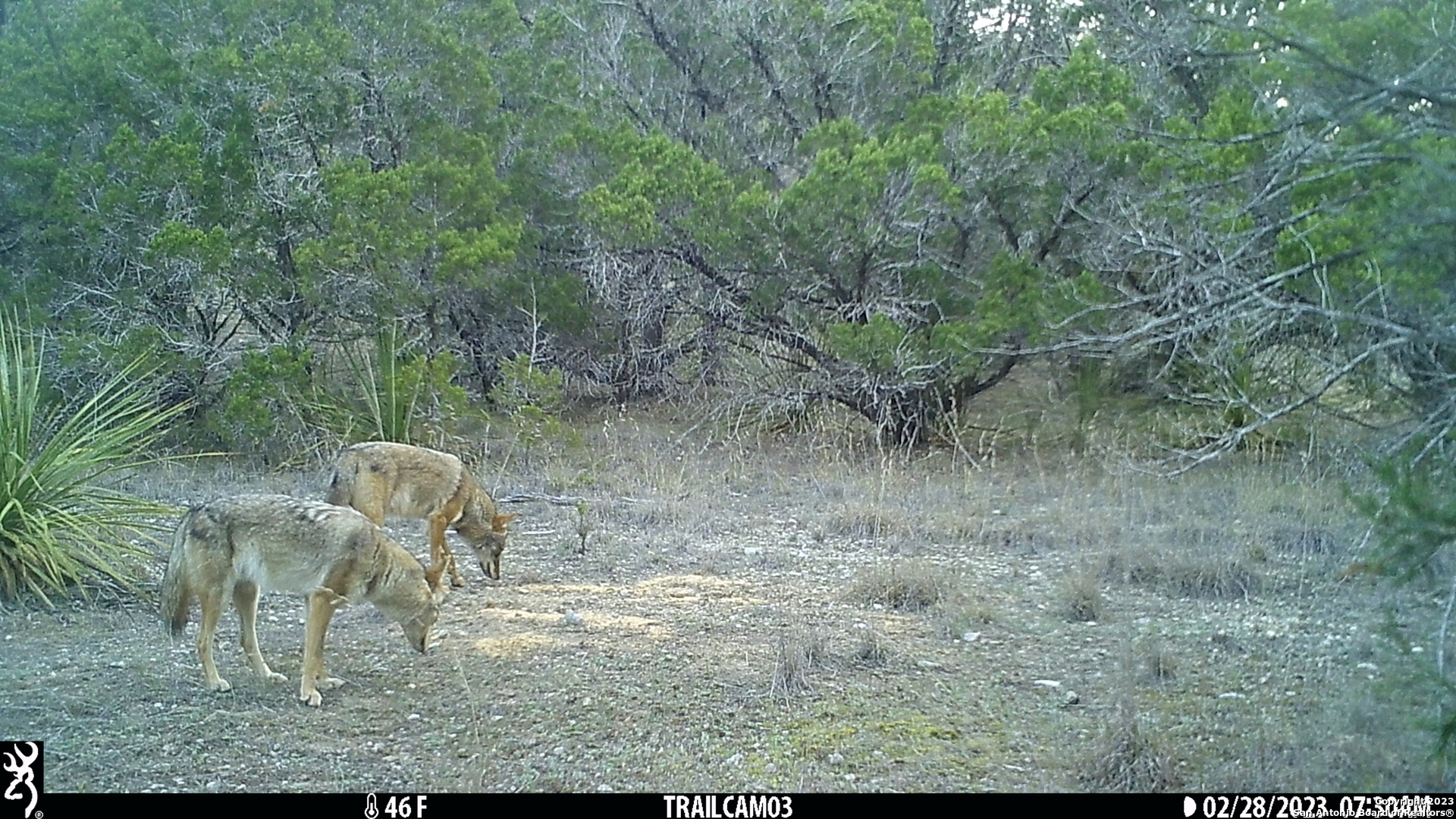 10700 Fm 306 New Braunfels TX 78132