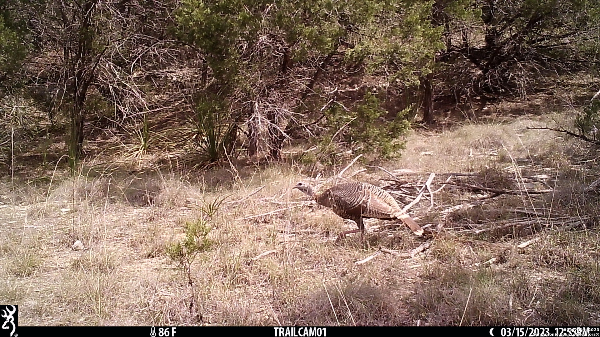 10700 Fm 306 New Braunfels TX 78132