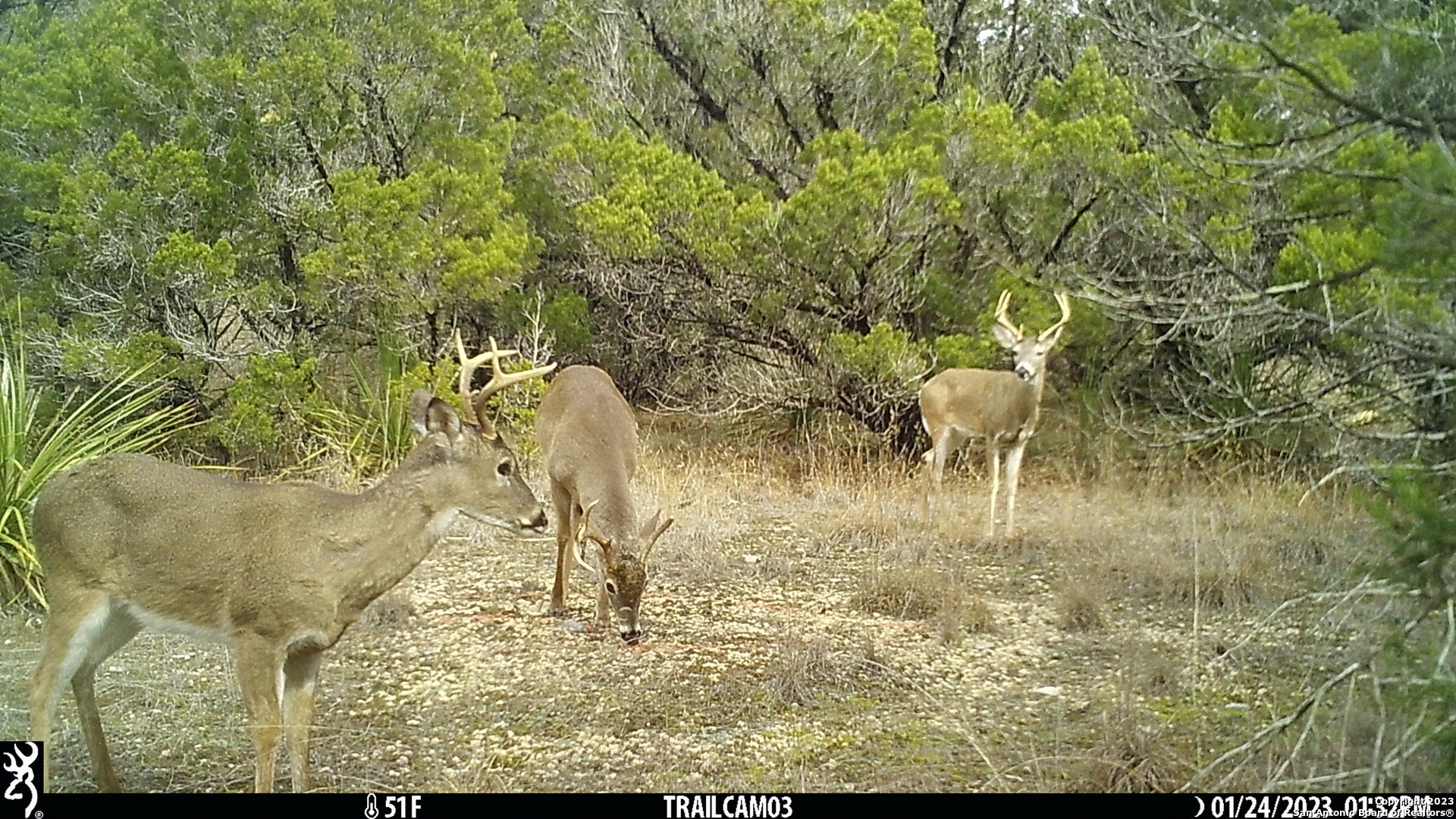 10700 Fm 306 New Braunfels TX 78132