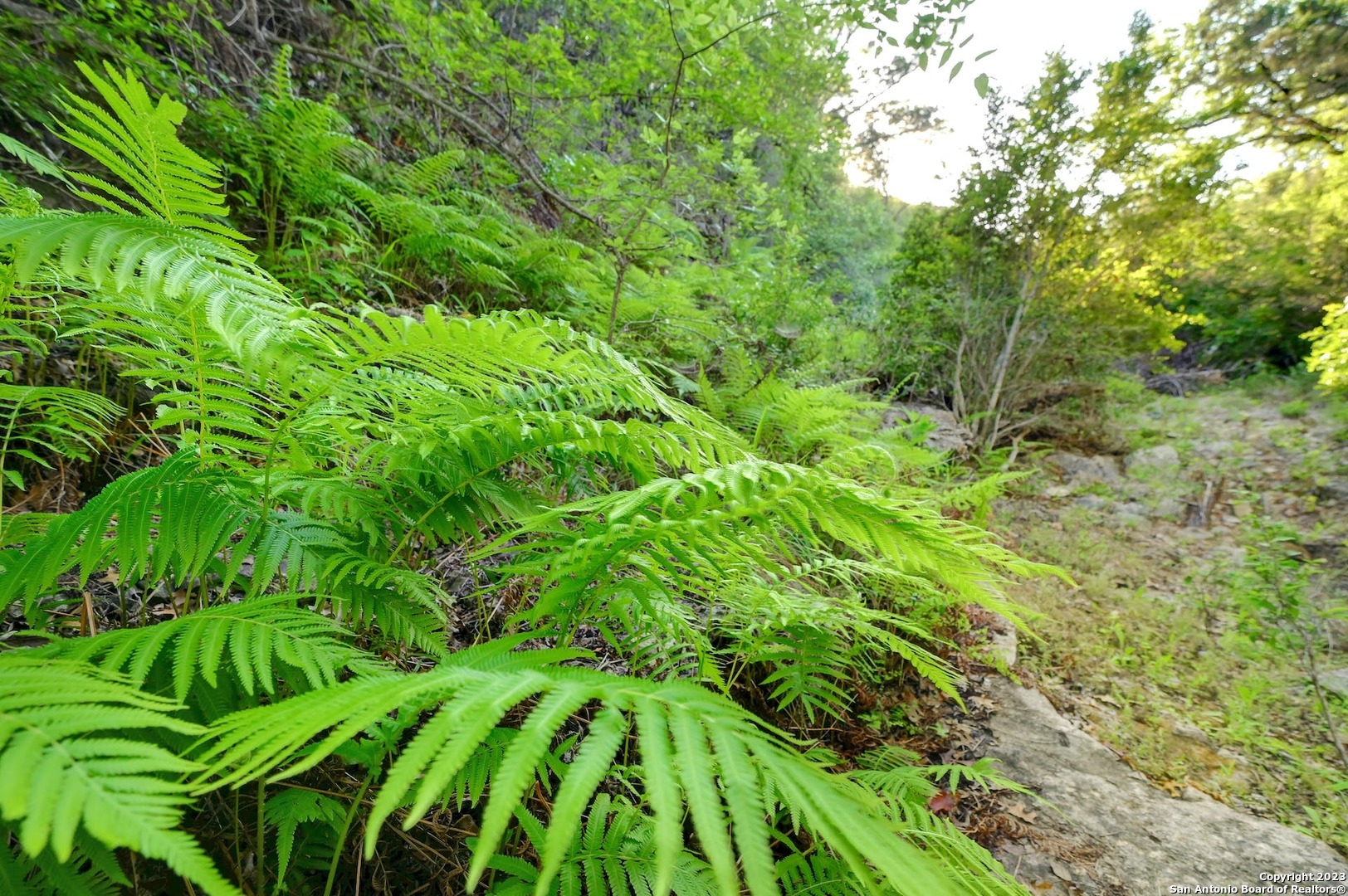 10700 Fm 306 New Braunfels TX 78132