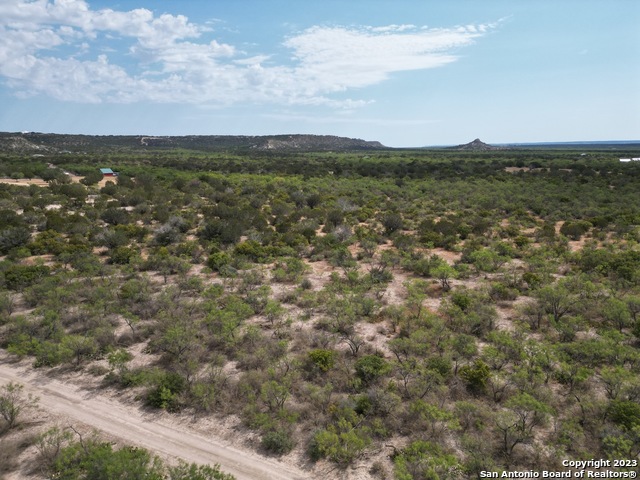 1177 Tea Cup Drive Junction TX 76849