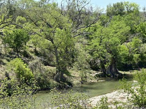 705 Elbel Bend Spring Branch TX 78070