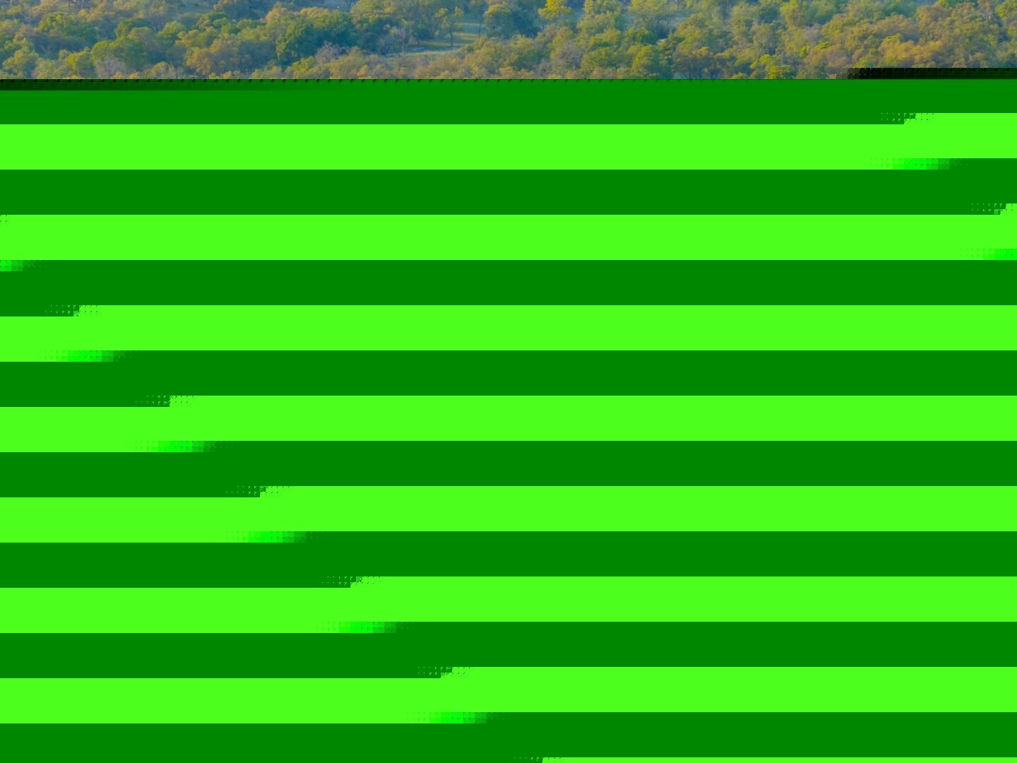 862 Grape Creek Road Fredericksburg TX 78624