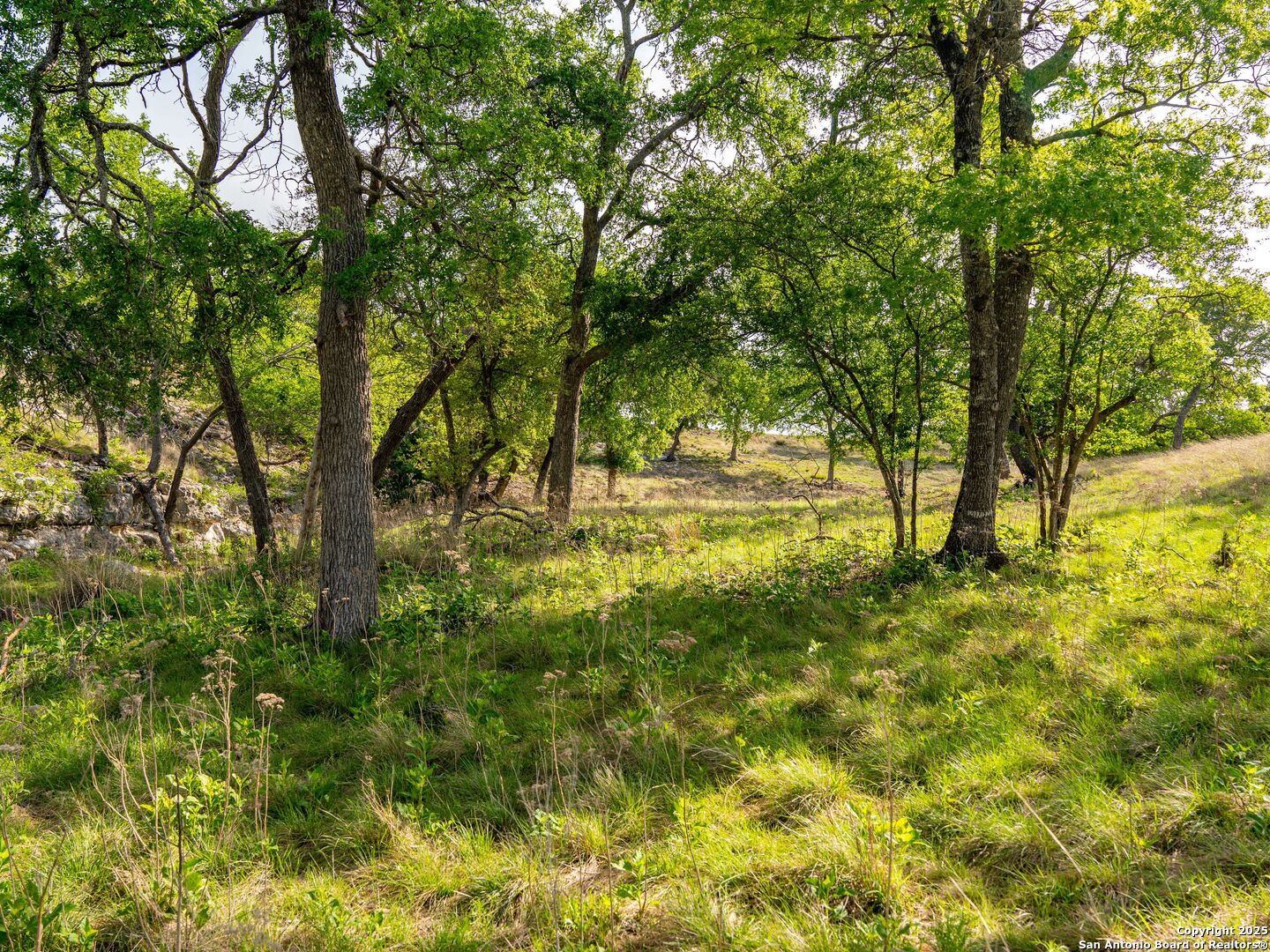 862 Grape Creek Road Fredericksburg TX 78624