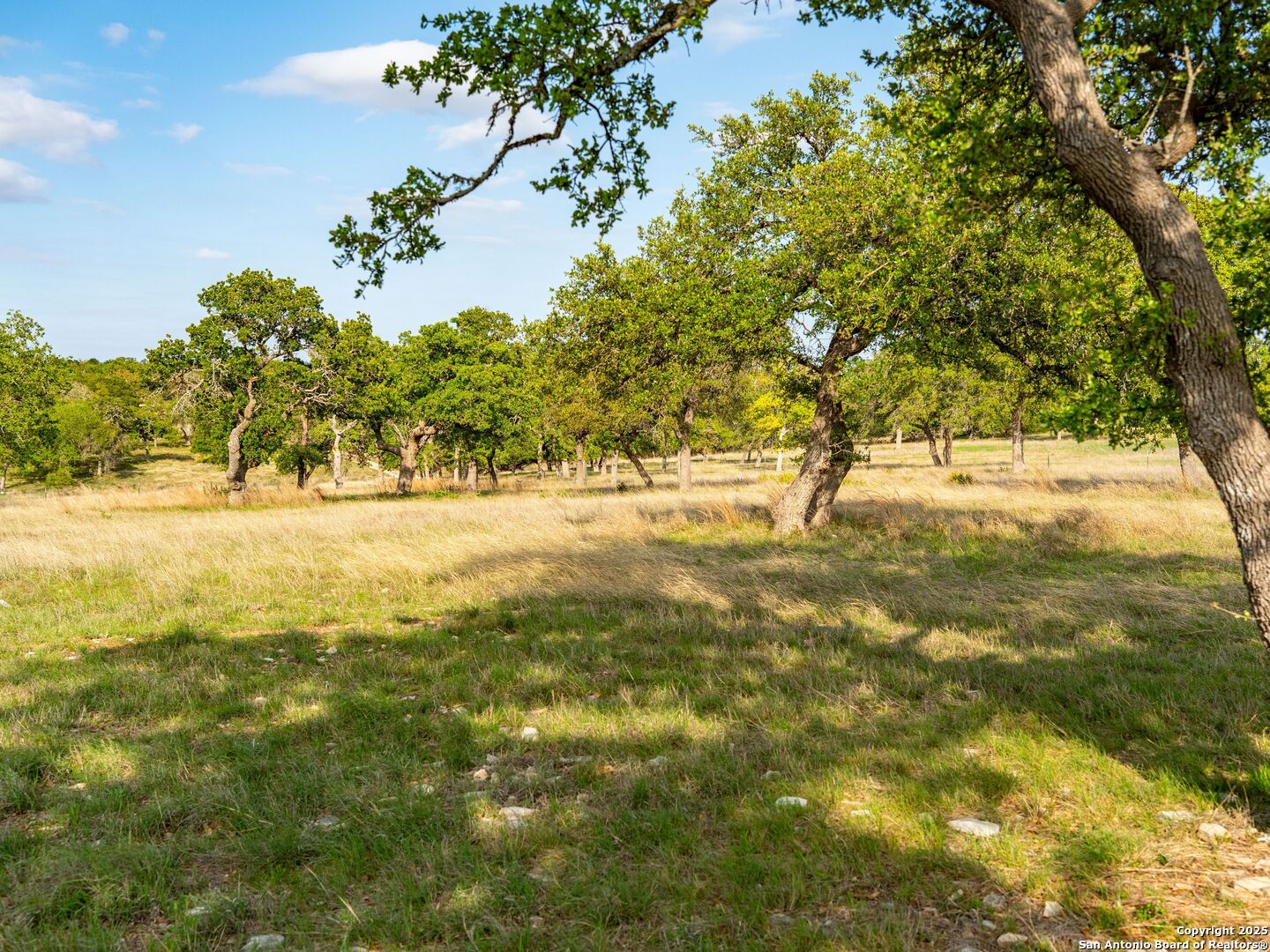 862 Grape Creek Road Fredericksburg TX 78624