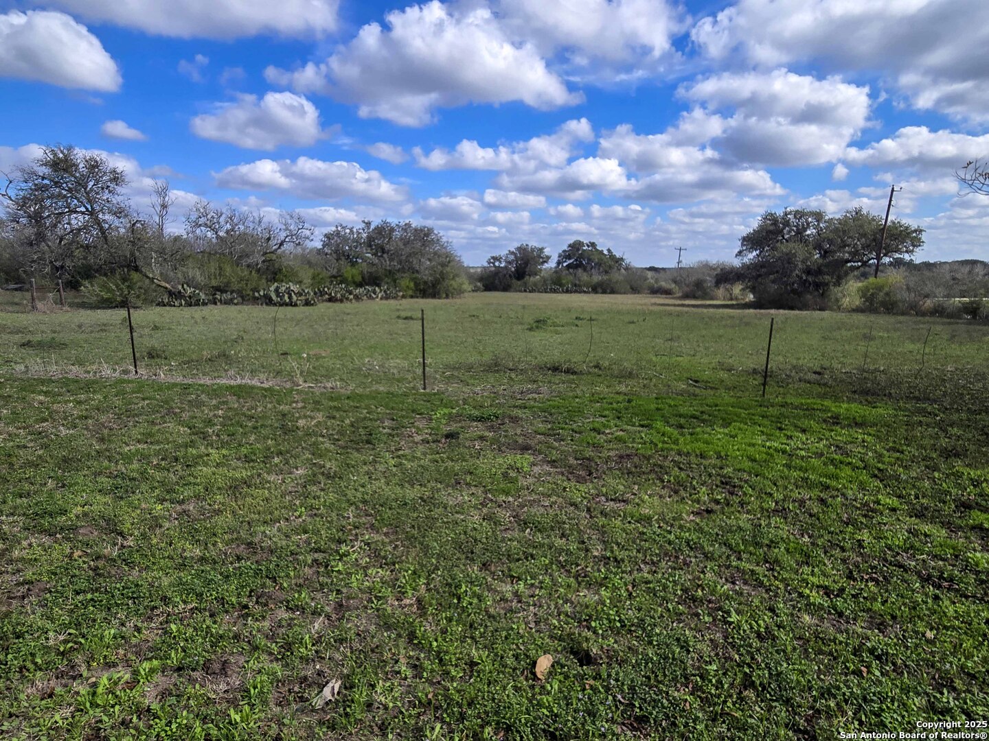 1173 Charco Road Tuleta TX 78162