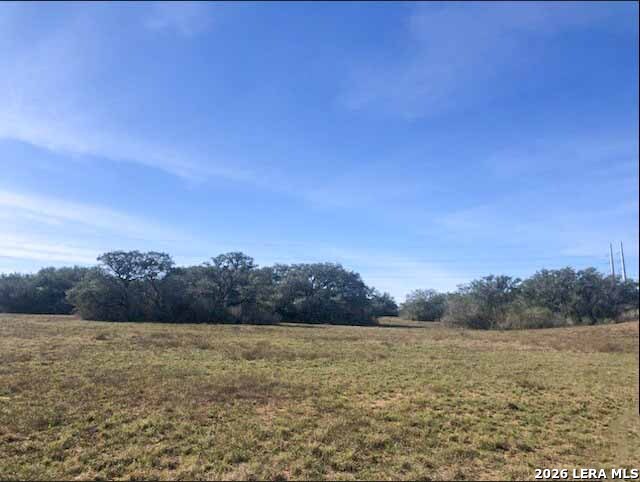 1173 Charco Road Tuleta TX 78162