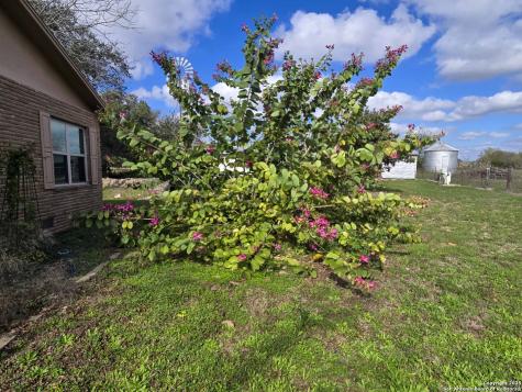 1173 Charco Road Tuleta TX 78162