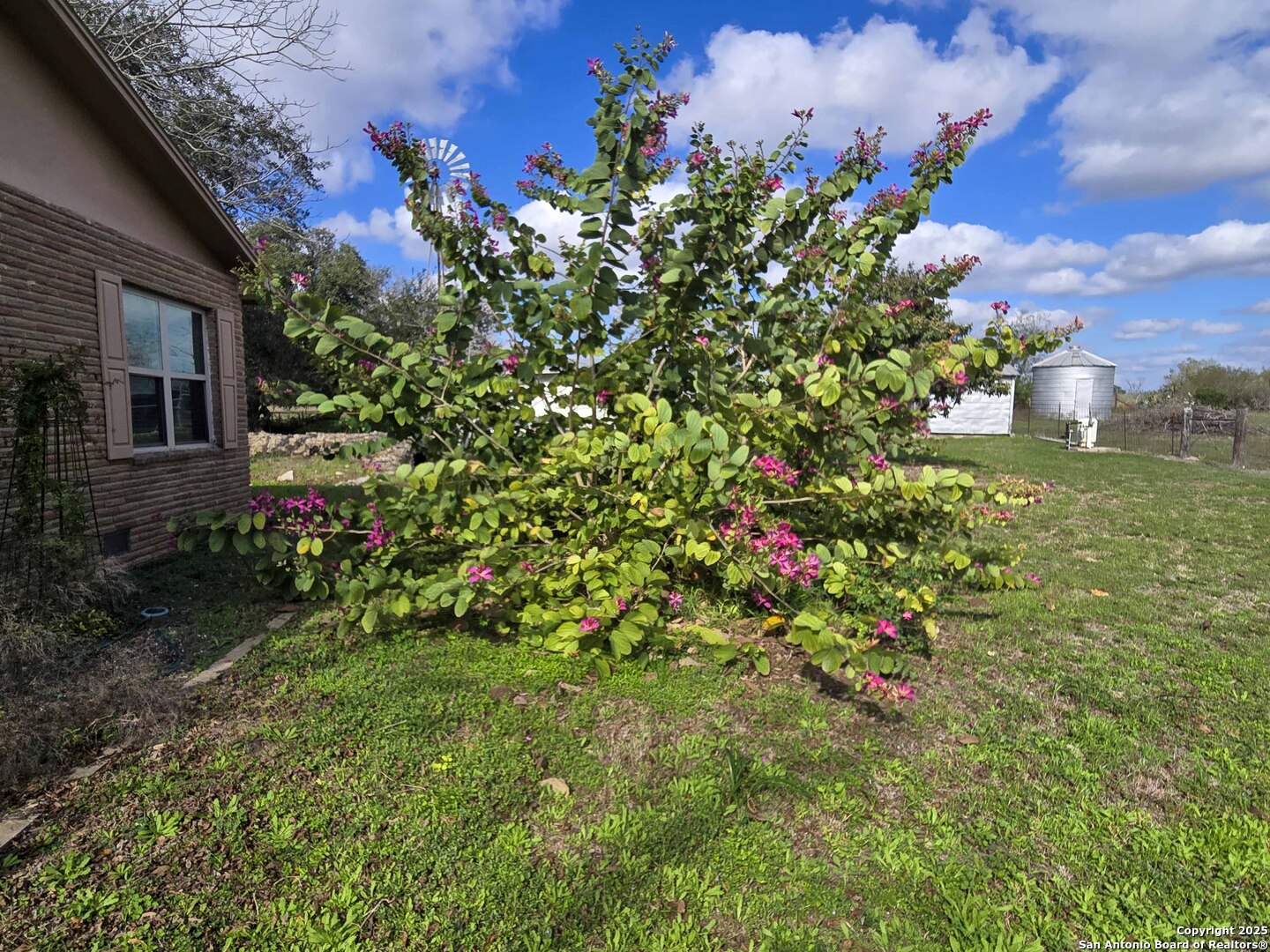 1173 Charco Road Tuleta TX 78162