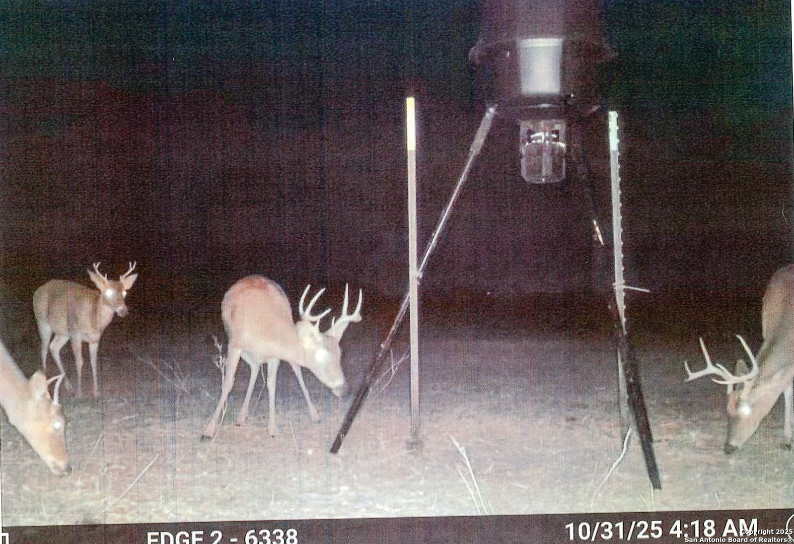 1173 Charco Road Tuleta TX 78162