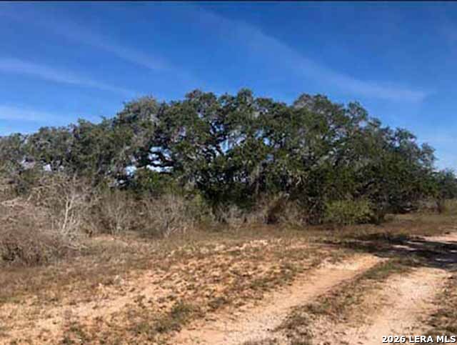 1173 Charco Road Tuleta TX 78162