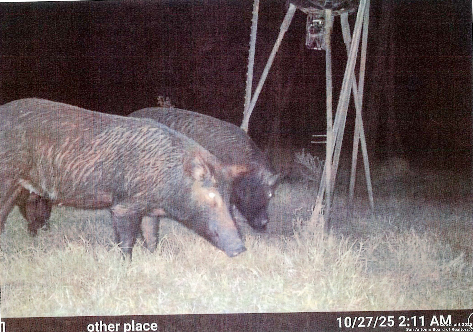 1173 Charco Road Tuleta TX 78162