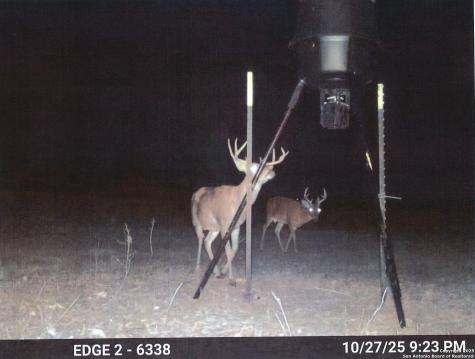 1173 Charco Road Tuleta TX 78162
