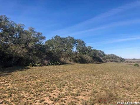 1173 Charco Road Tuleta TX 78162