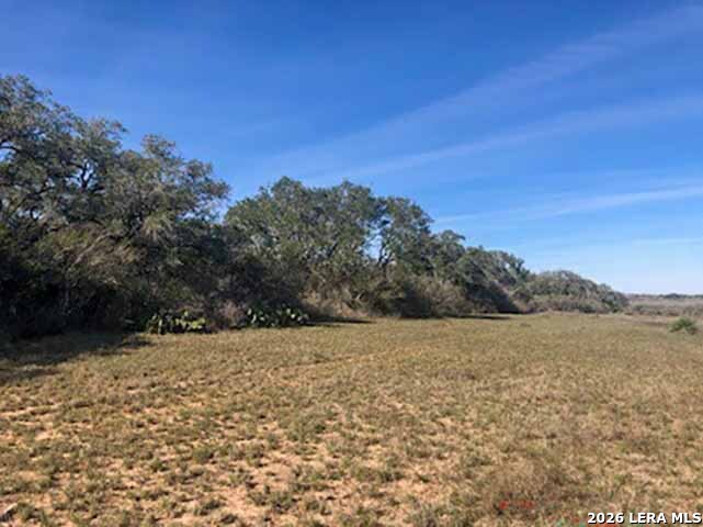 1173 Charco Road Tuleta TX 78162