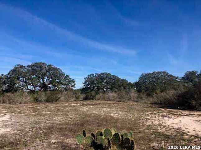 1173 Charco Road Tuleta TX 78162
