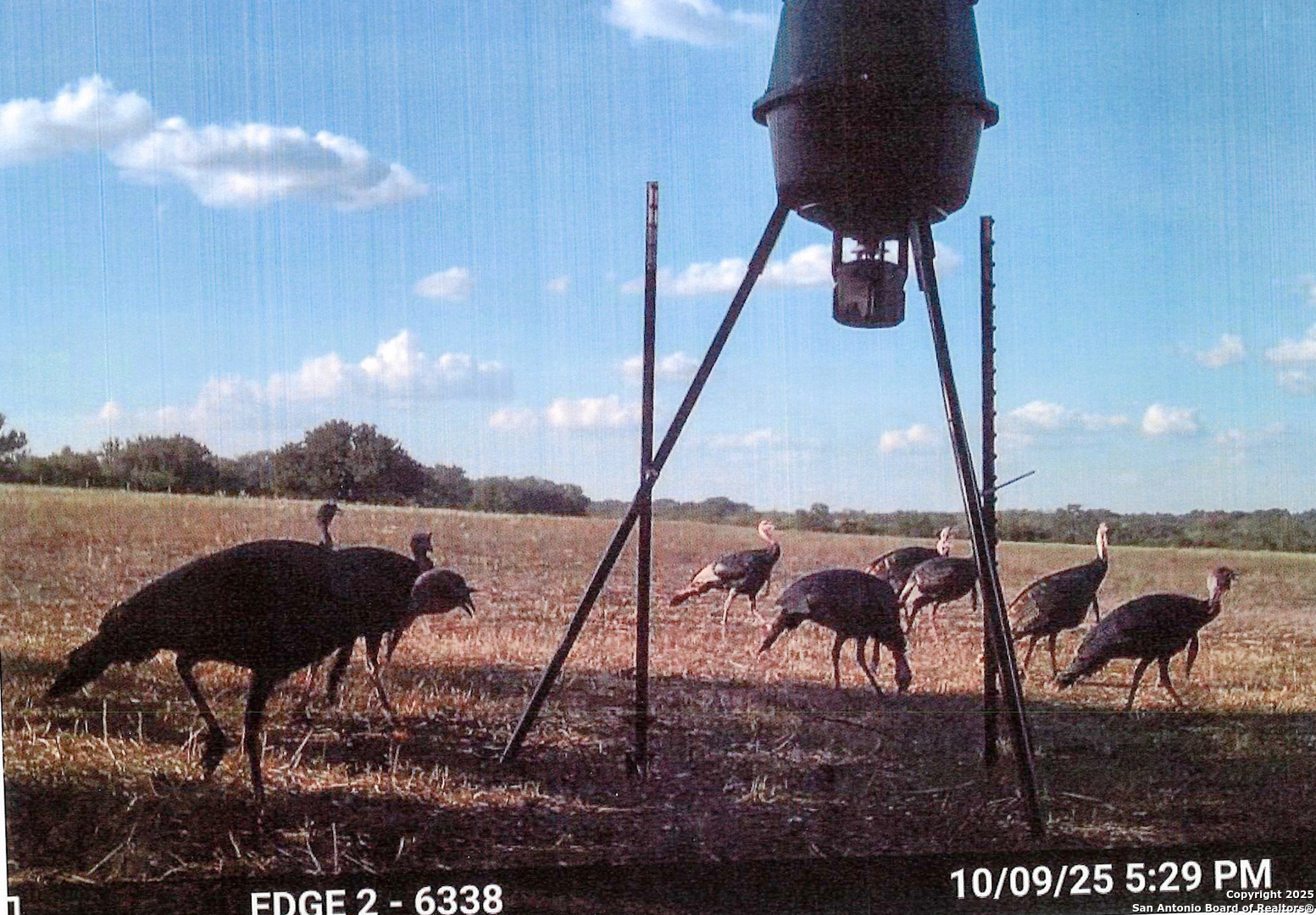 1173 Charco Road Tuleta TX 78162