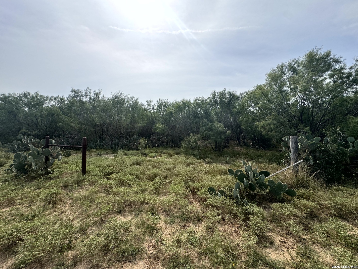 599 County Road 7611 Devine TX 78016