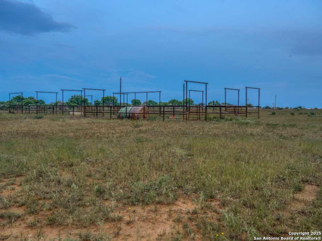 2831 County Road 430 Pleasanton TX 78064