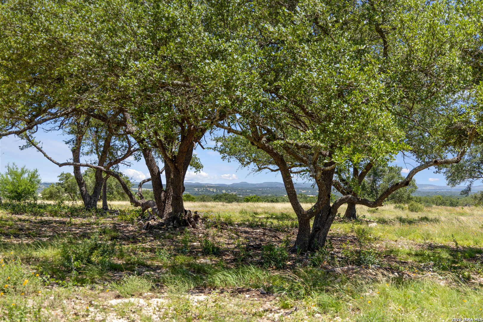 Tbd Lindeman Lane Blanco TX 78606