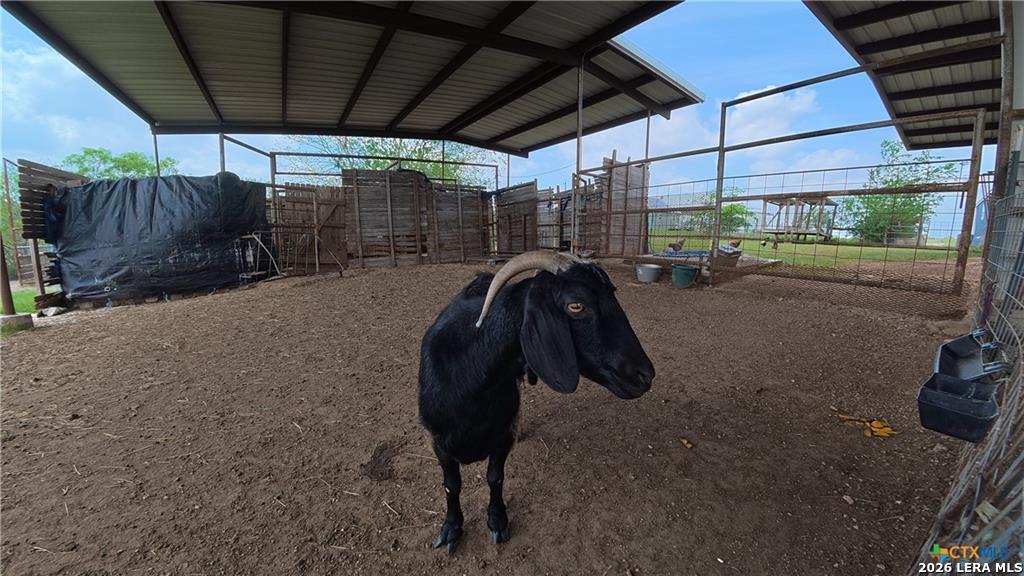 202 Fm 466 Cost TX 78614
