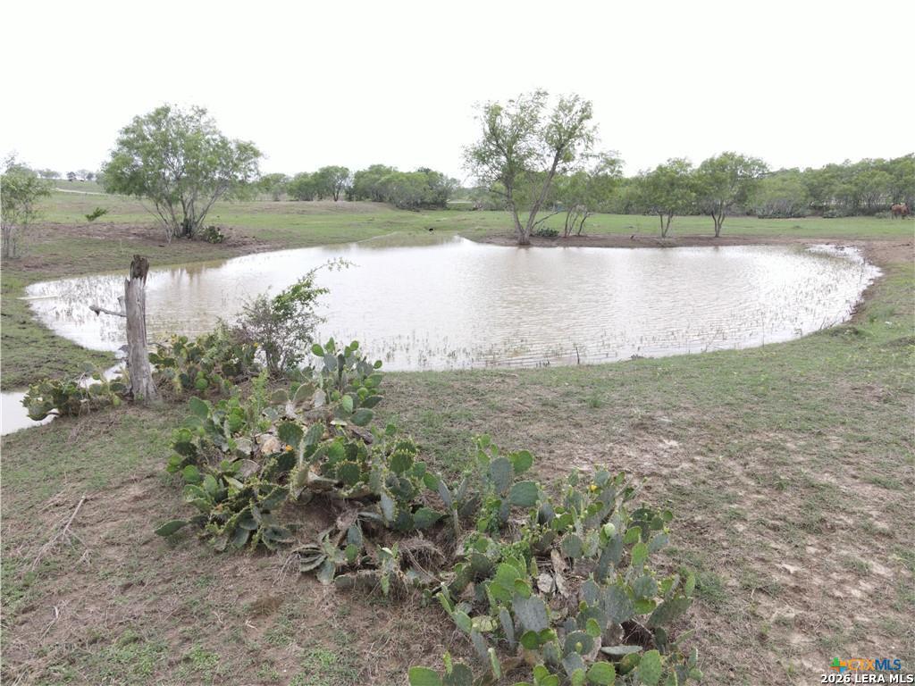 202 Fm 466 Cost TX 78614