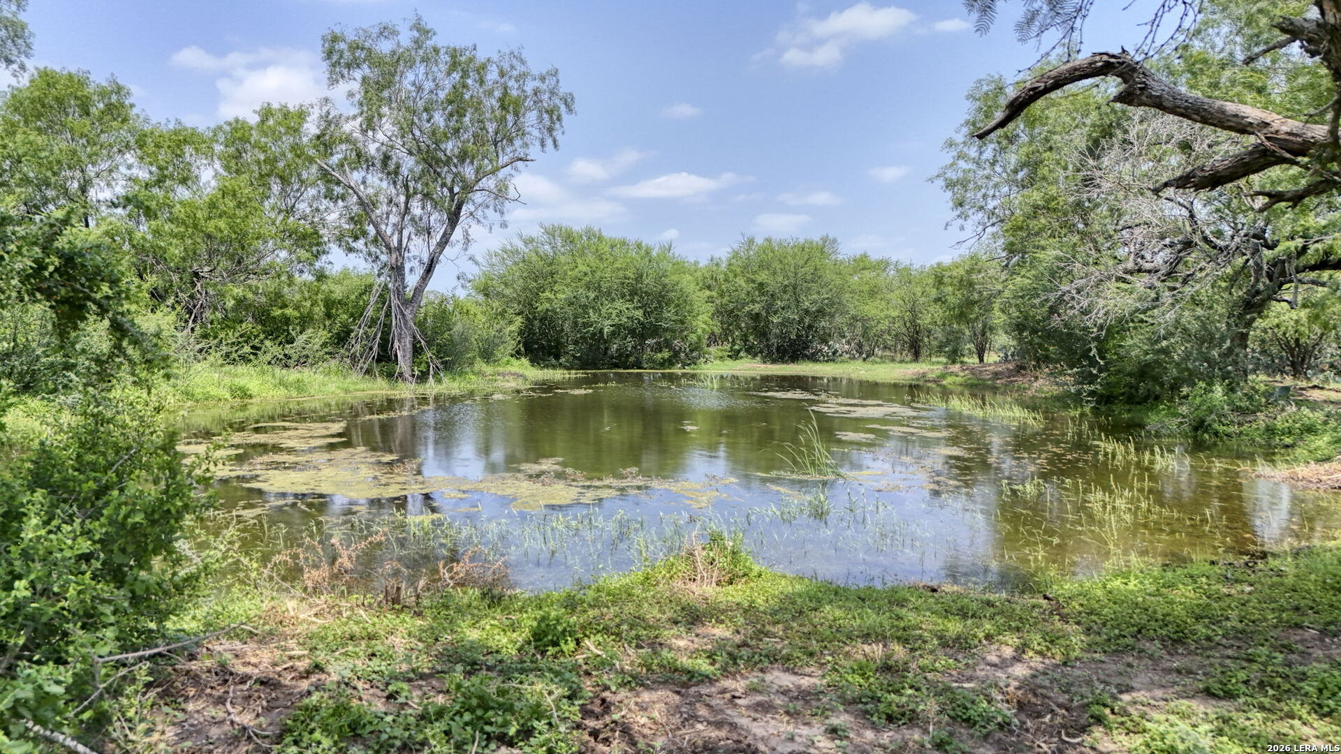 1588 Fm 1470 Poteet TX 78065