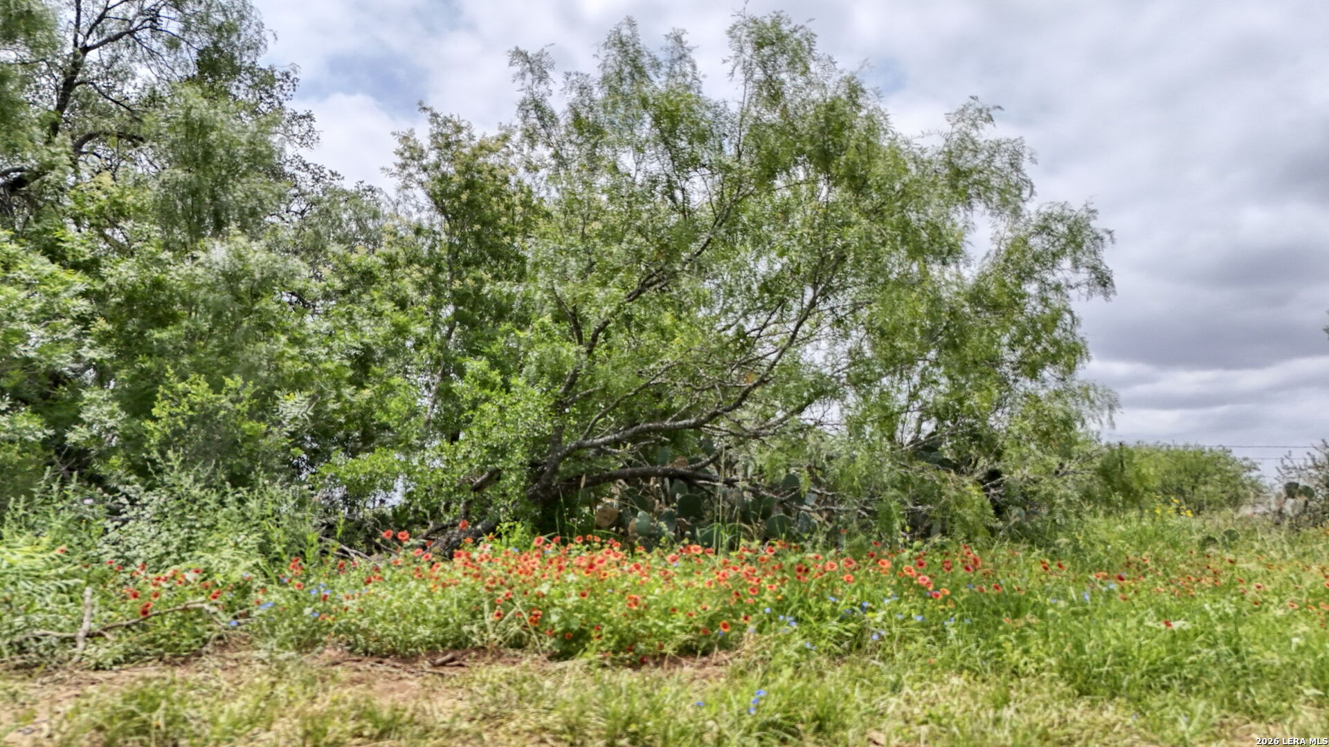 1588 Fm 1470 Poteet TX 78065