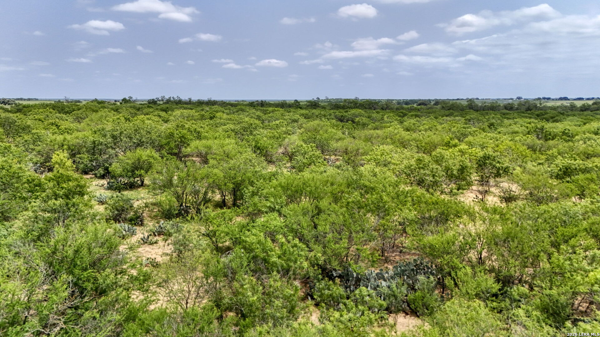 1588 Fm 1470 Poteet TX 78065