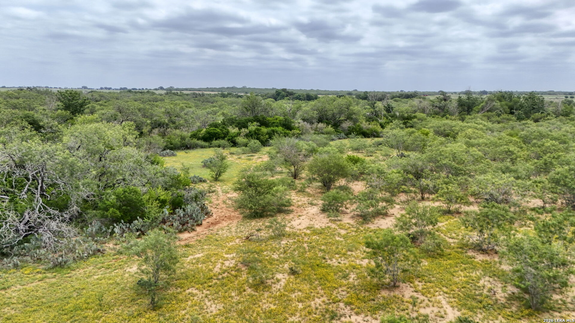 1588 Fm 1470 Poteet TX 78065