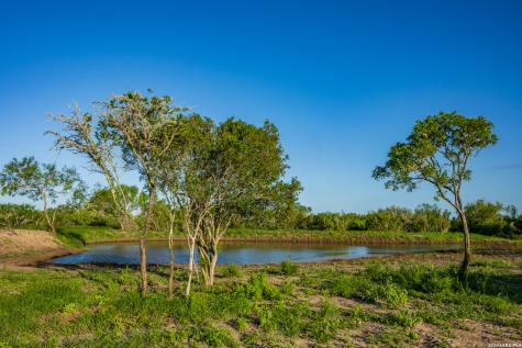 111 Los Lomas Ranch Road Freer TX 78357