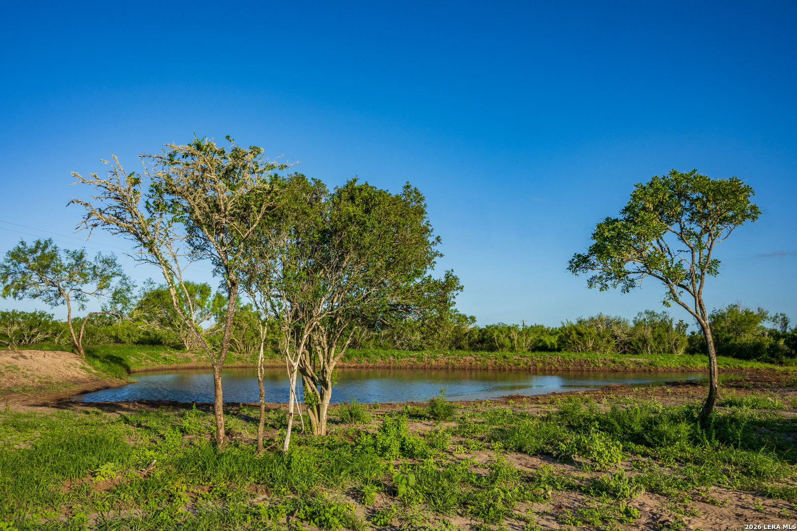 111 Los Lomas Ranch Road Freer TX 78357