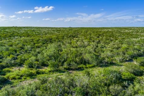111 Los Lomas Ranch Road Freer TX 78357