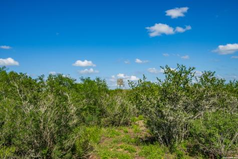 111 Los Lomas Ranch Road Freer TX 78357