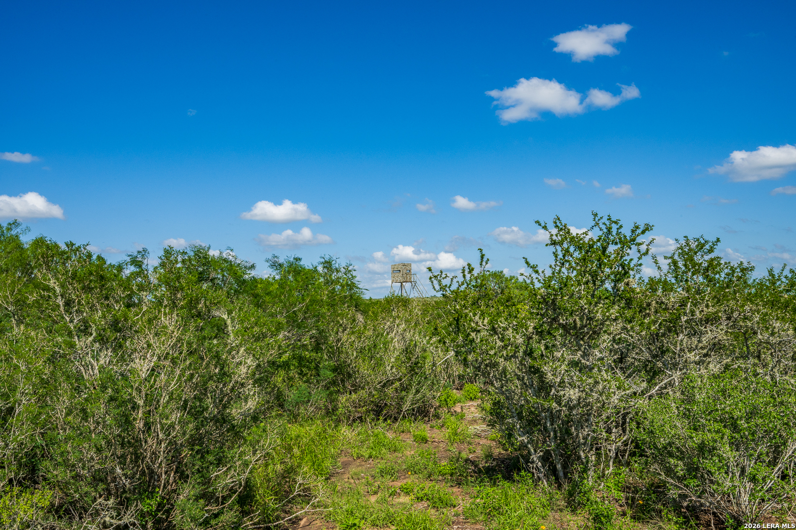 111 Los Lomas Ranch Road Freer TX 78357