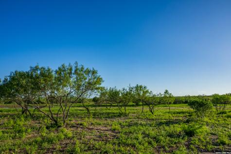 111 Los Lomas Ranch Road Freer TX 78357