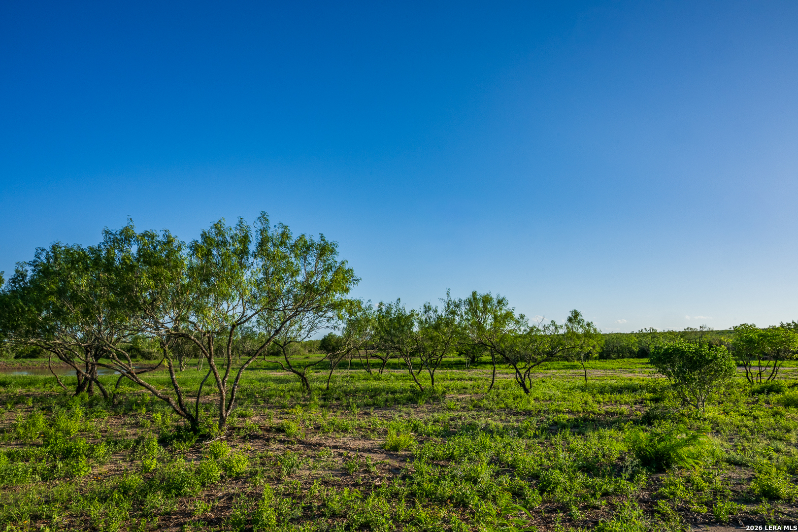 111 Los Lomas Ranch Road Freer TX 78357