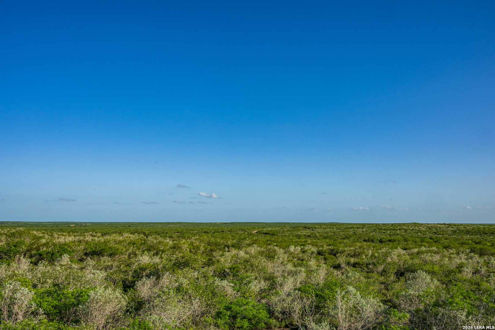 111 Los Lomas Ranch Road Freer TX 78357