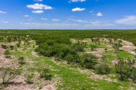 111 Los Lomas Ranch Road Freer TX 78357