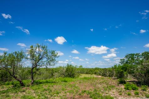 111 Los Lomas Ranch Road Freer TX 78357