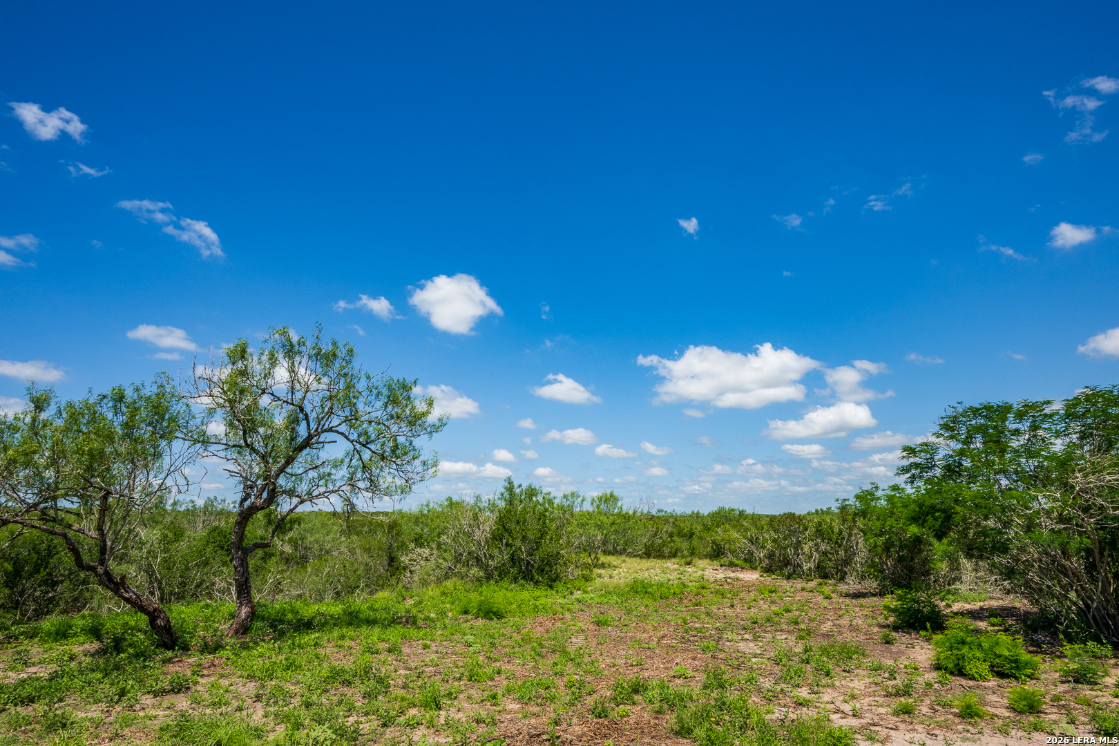 111 Los Lomas Ranch Road Freer TX 78357