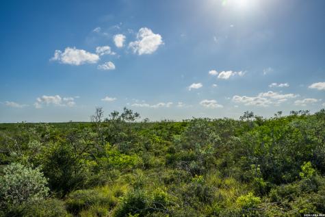 111 Los Lomas Ranch Road Freer TX 78357
